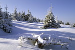 Winterlandschaft im Harz