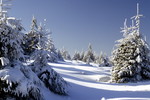 Winterlandschaft im Harz