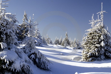 Winterlandschaft im Harz