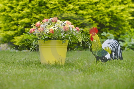 Garten-Stillleben mit Hahn