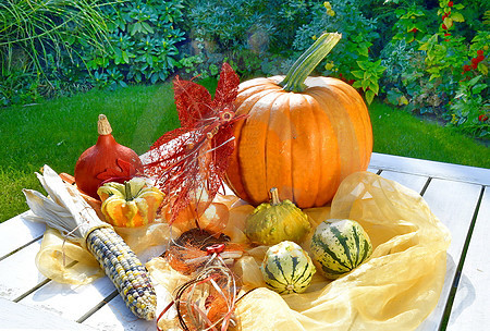 Herbst-Deko im Garten