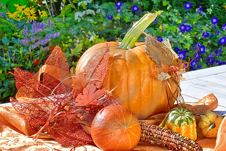 Herbst-Deko im Garten