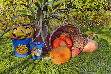 Herbstzeit