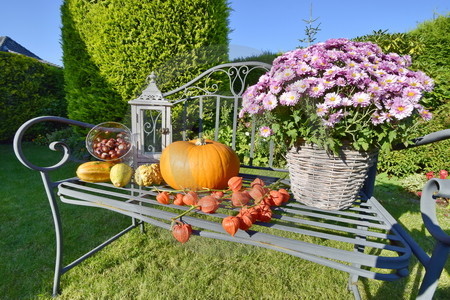 Garten-Stillleben auf Gartenbank