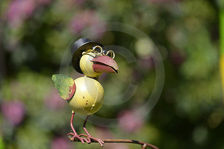 Garten-Vogel