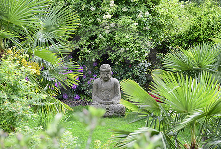 Asiatischer Garten