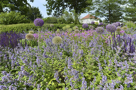 Landesgartenschau 2018