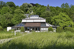 Palmenhaus im Rosengarten