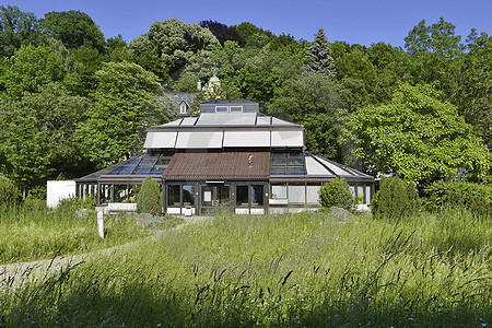Palmenhaus im Rosengarten