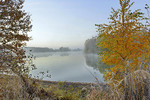 Nebelstimmung am Haselünner See