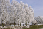 Landschaft im Raureif