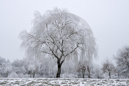 Winterzauber