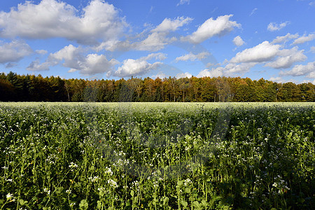 Herbstlandschaft bei Dörgen