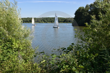 Haselünner See