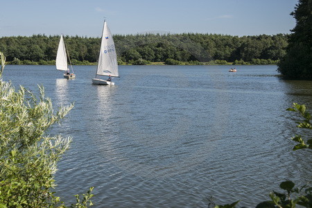 Haselünner See