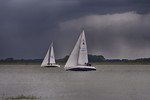 Segelregatta auf der Elbe