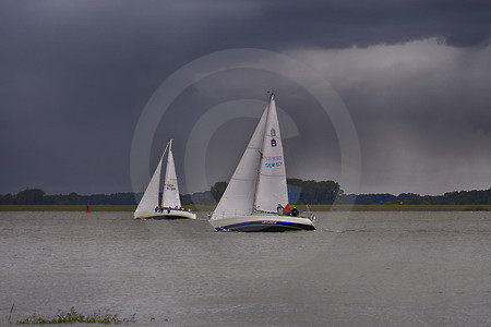 Segelregatta auf der Elbe