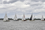 Segelregatta auf der Elbe