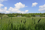 Landschaft am Eutiner See