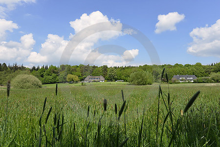 Landschaft am Eutiner See