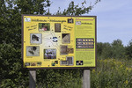 Wildbienen-Infotafel am Aussichtsturm  in Lahre