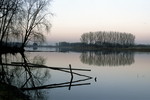 Altrhein bei Xanten-Birten