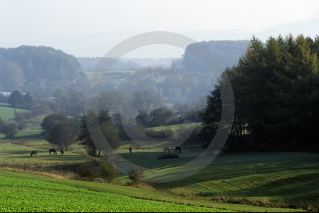 Landschaft bei Gevelsberg