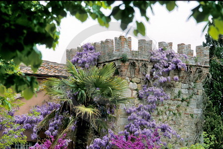 Montepulciano