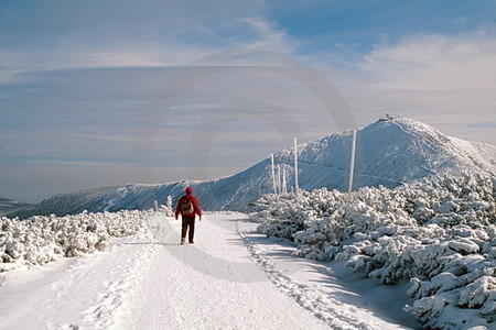 Schneekoppe