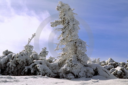 Riesengebirge