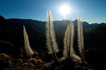 Nationalpark Teide