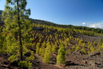 Montañas Negras