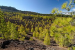 Montañas Negras