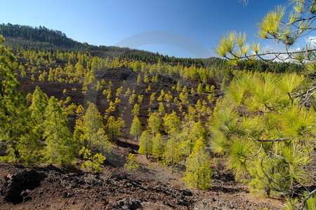 Montañas Negras