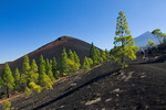 Montañas Negras