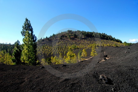 Montañas Negras