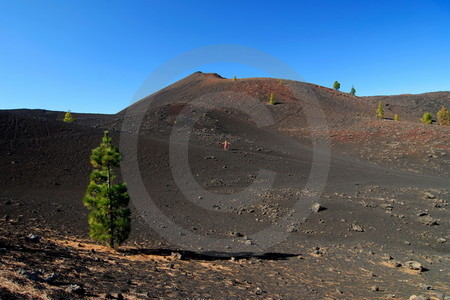 Montañas Negras