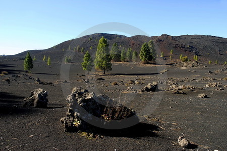 Montañas Negras