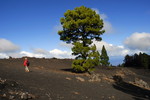 Montañas Negras
