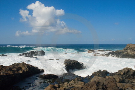 Punta de Teno