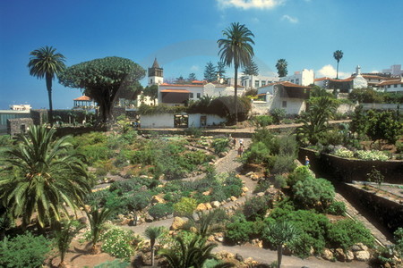 Parque del Drago