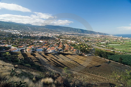 La Orotava