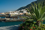 Garachico