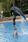 Loro Parque