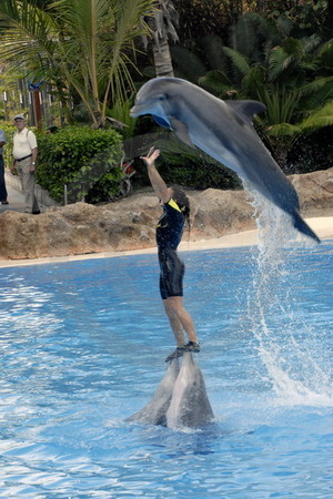 Loro Parque