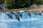 Loro Parque