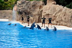 Loro Parque