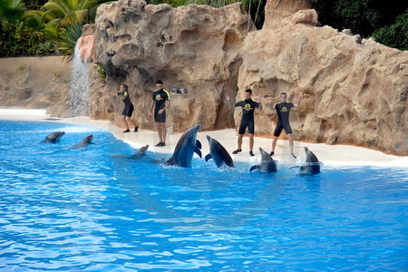 Loro Parque