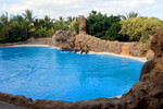 Loro Parque