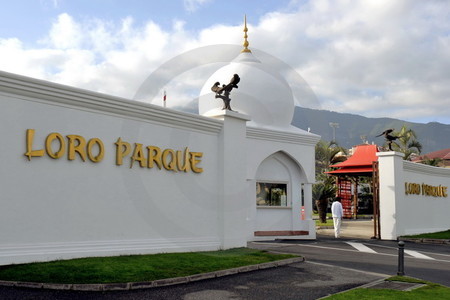 Loro Parque